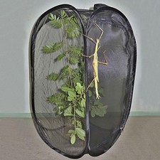 Cage Pliable De Clôture De Logement De Cages De Maille D'habitat De Papillon /