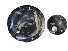 Ensemble Marbre Fossilisé