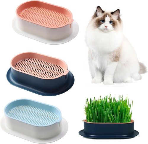Plateaux plantation pour - 3,