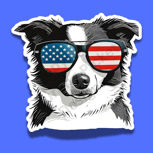 Patriotic border collie - border,