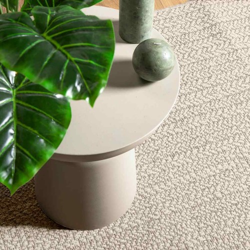 Tapis carpette moquette salon - tapis,