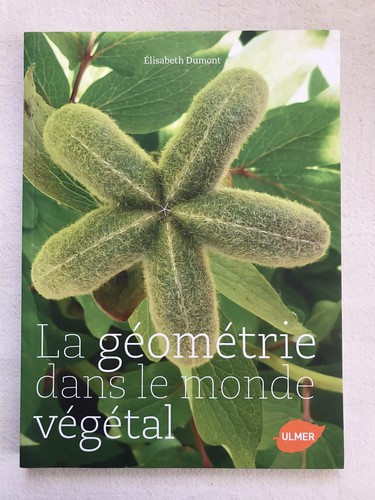 Géométrie dans monde - dans,