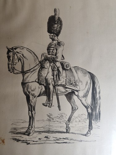 Carle vernet garde - carle,