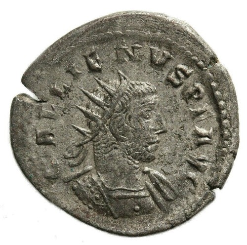 Gallienus gallien - gallienus,