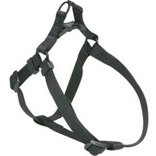 HARNAIS CHIEN NYLON EASY