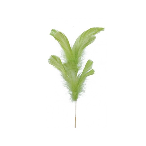 Pique plume volaille - plume,