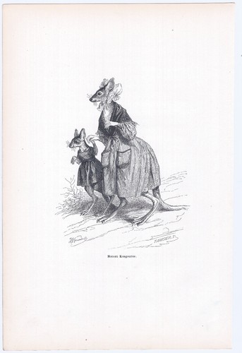 Animaux savants granville 1842 - animaux,