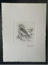 Belgique 2000 COB 2918 Epreuve