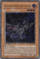 Yu-Gi-Oh! - Panthère Noire