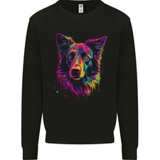 Sweatshirt Jumper En Couleur