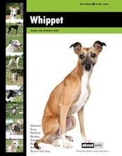 Whippet (Dog Breed Expert