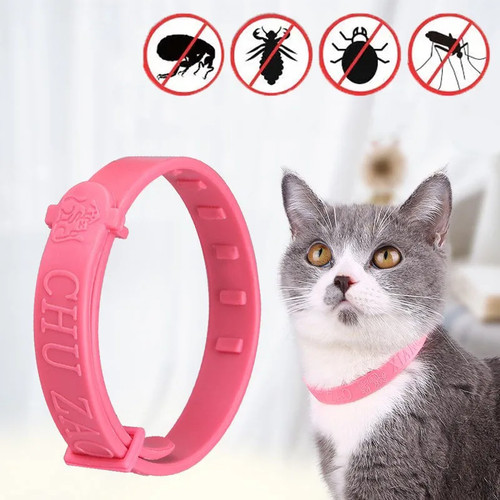 Collier anti puce chien chat - anti,