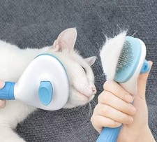 Brosse Cheveux poils Pour Chat