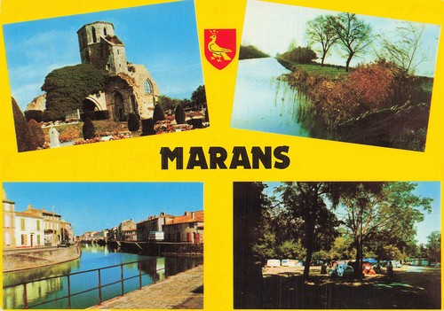 Marans les bords canal - 17,