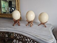 Ostrich egg on its exotic wooden stand