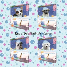 Rub a Dub Dog Cat in a Tub Pet Photo Lovers Canvas Wall Art Decor, 8x10 Inch