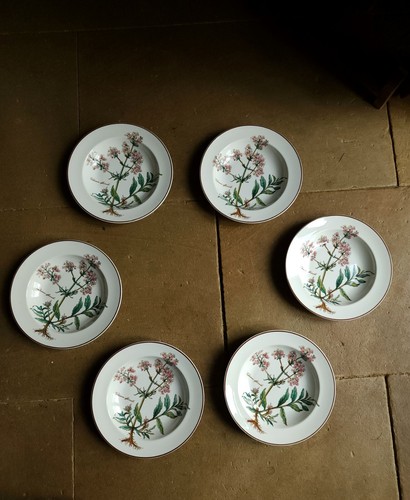 Botanica villeroy boch 6 - botanica,