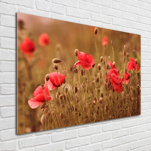 Tulup image sur verre trempé - verre,