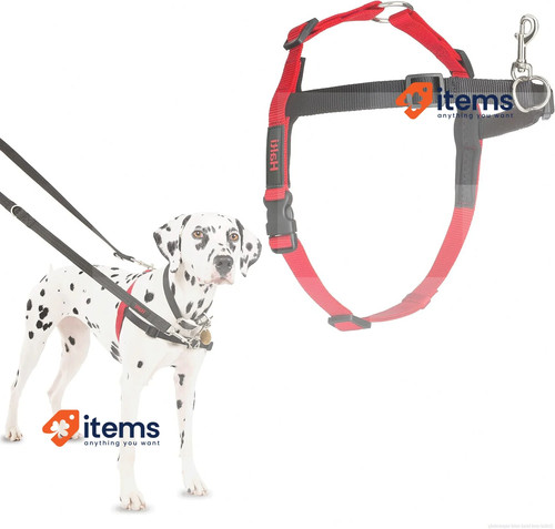 Halti harnais pour chien - harnais, avec