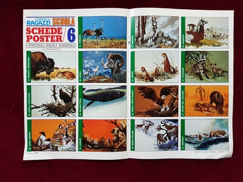 Schede poster allegato - poster,