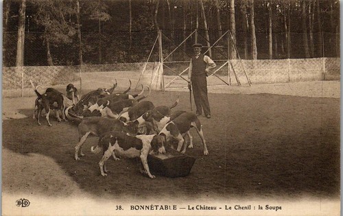 Bonnetable chenil du - -,