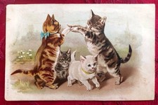 CPA vers 1905 : Deux  chats