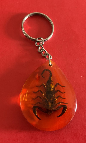 Porte clefs inclusion