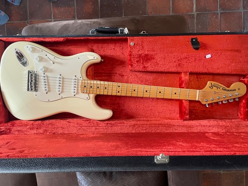 Fender stratocaster tribute - stratocaster,