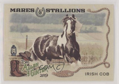 2019 topps allen ginter - 2019,