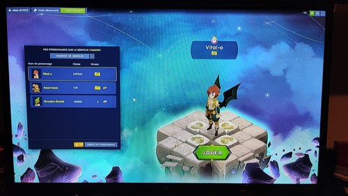 Compte dofus 200 - compte,