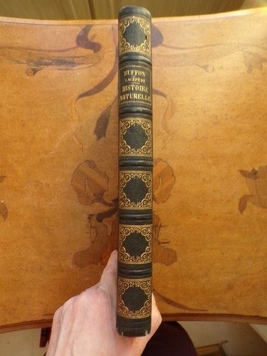 9870 buffon lacépède - 9870,