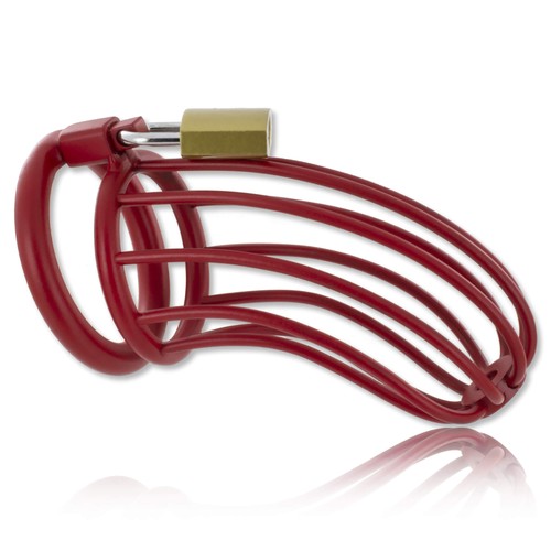 Cage chasteté homme avec - chasteté,