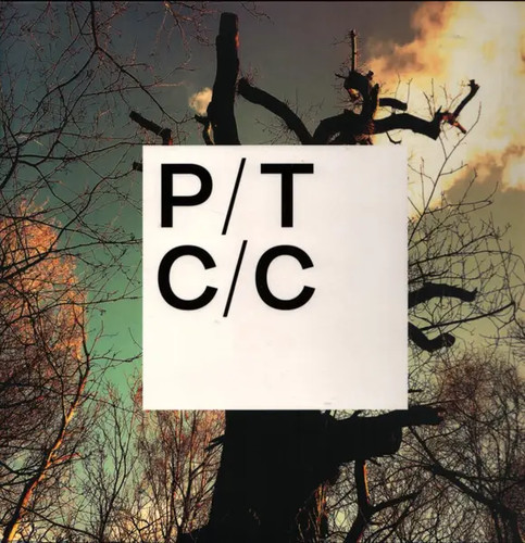 Porcupine tree - porcupine,