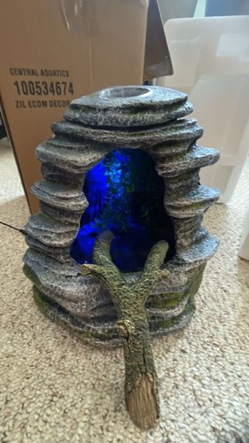 Zilla spring cave reptile - spring,