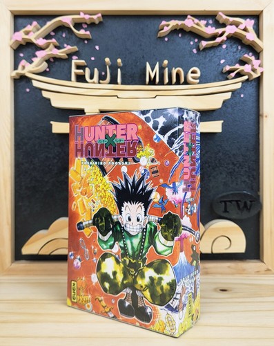 Manga hunter - hunter,