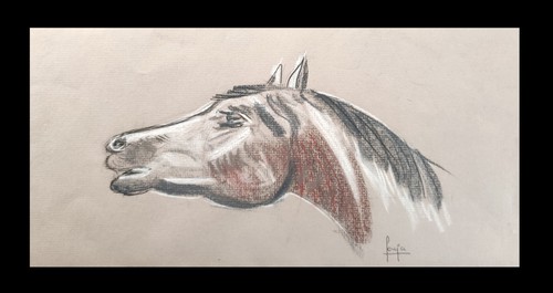 Dessin ancien cheval - ancien, signé