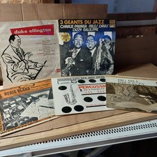 LOT 5  Vinyles 33  -  Blues -