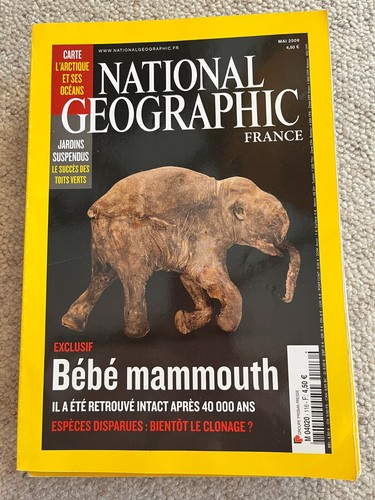 Bébé mammouth retrouvé - bébé,