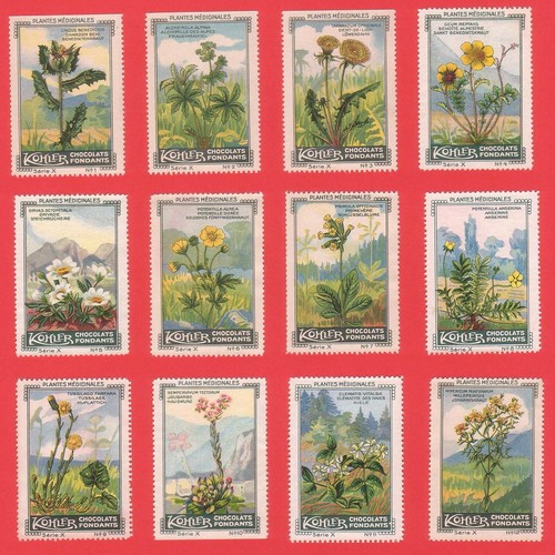 Poster stamps medicinal plants - poster,