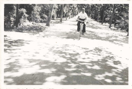 Old photograph 1955 ceret - photograph,