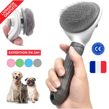 Brosse Autonettoyante pour