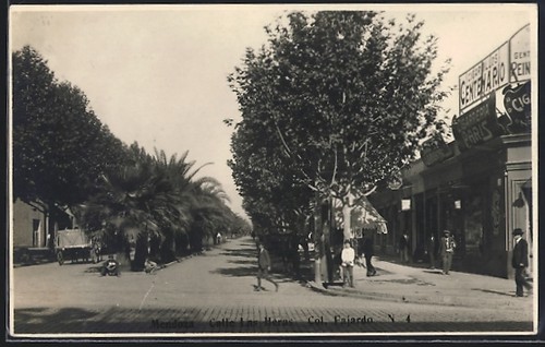 Carte postale mendoza calle - carte,