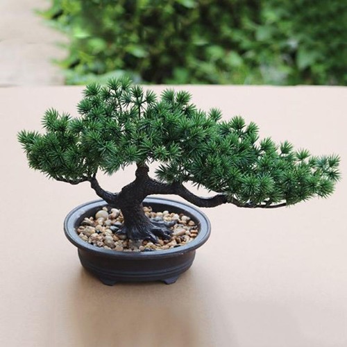 Bonsaï artificiel plante - artificiel,