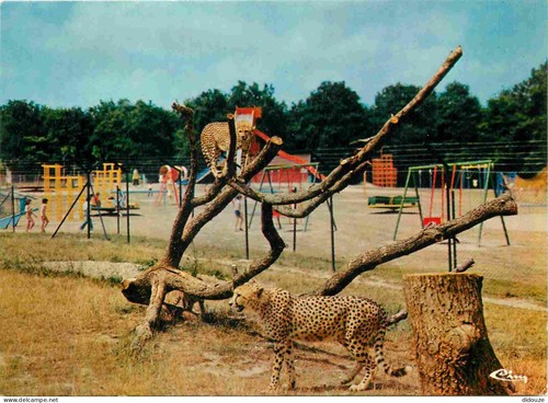 Carte postale parc - postale,