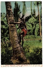 Manila, Philippines Iloilo 1908 Postcard, Native Gathering Tuba