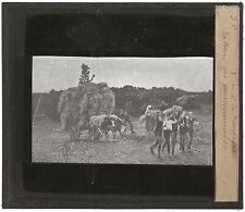 Moissonneurs, campagne dessin,photo ancienne plaque de verre, positif 8,5x10 cm