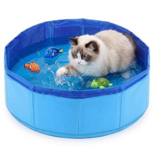 Piscine pour chat 10 - pour, cm
