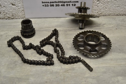 Transmission pignon chaine