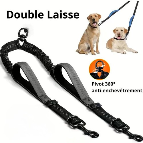 Laisse double pour chien - laisse,
