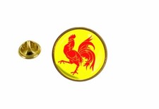 pins pin badge pin's drapeau